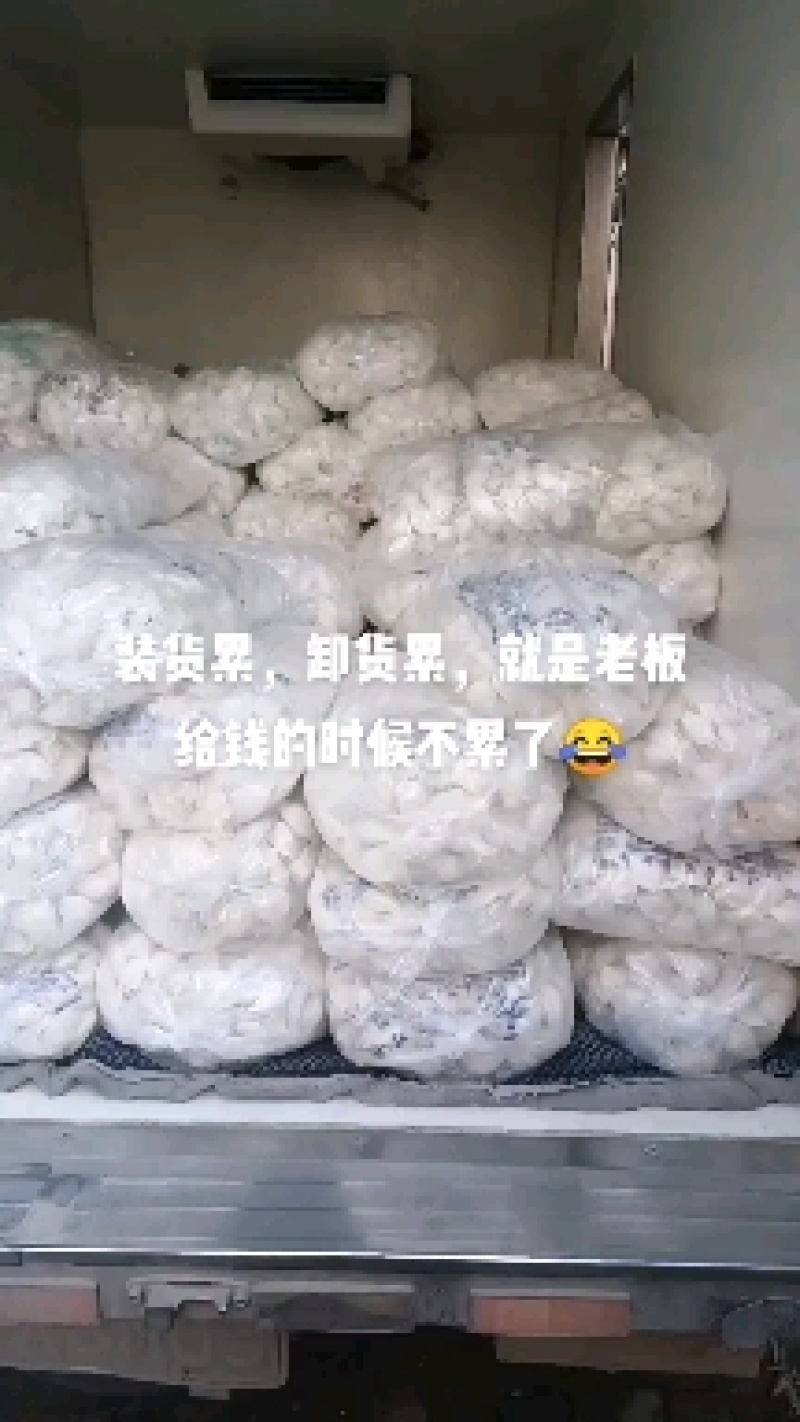 本厂生产高低端产品欢迎各地客商前来选购