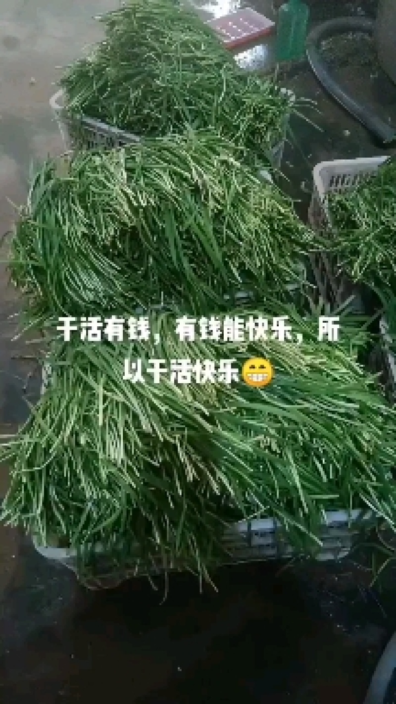 本厂生产高低端产品欢迎各地客商前来选购