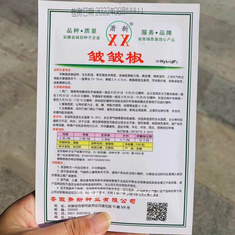 萧新皱皱椒种子皮薄质脆辣味浓，小皱皮辣椒种子果色亮绿