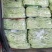 白芸豆货量大品质保证实力代办诚信合作欢迎老板联系