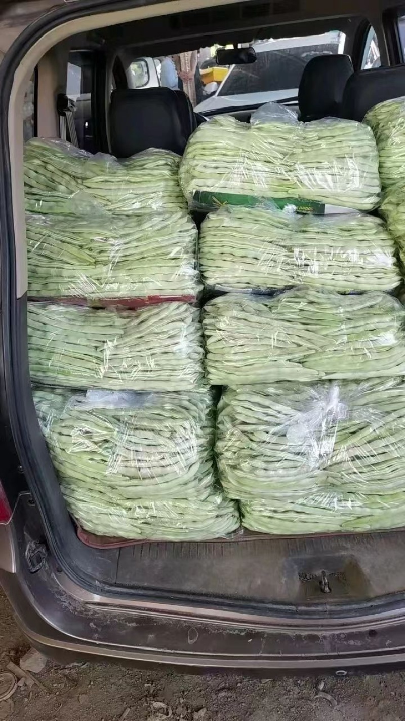 白芸豆货量大品质保证实力代办诚信合作欢迎老板联系