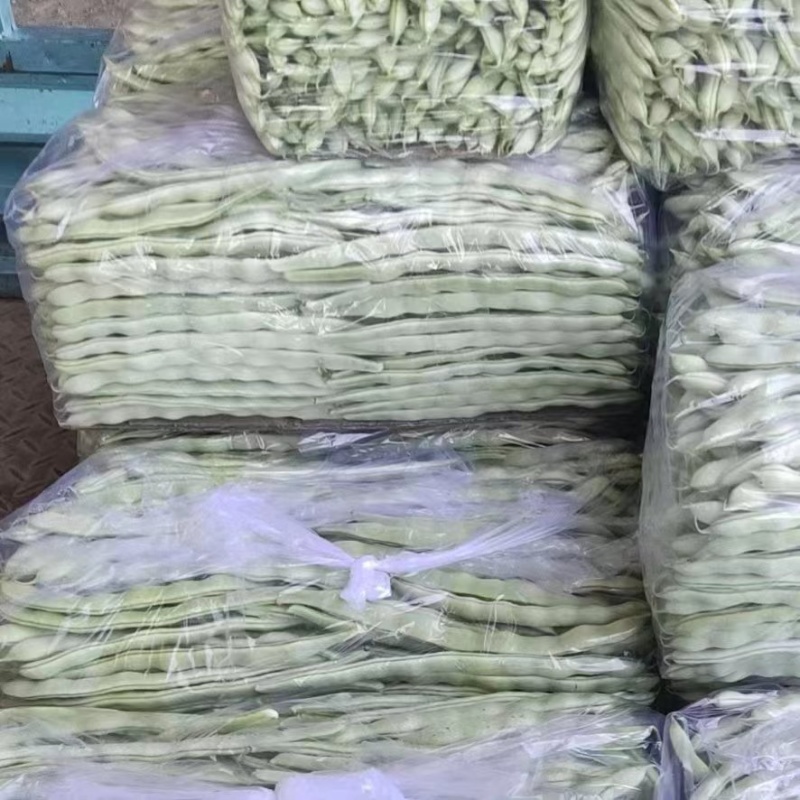 白芸豆货量大品质保证实力代办诚信合作欢迎老板联系