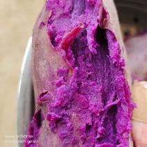 紫薯！山东紫罗兰紫薯，电商供货，代发货，质量保证