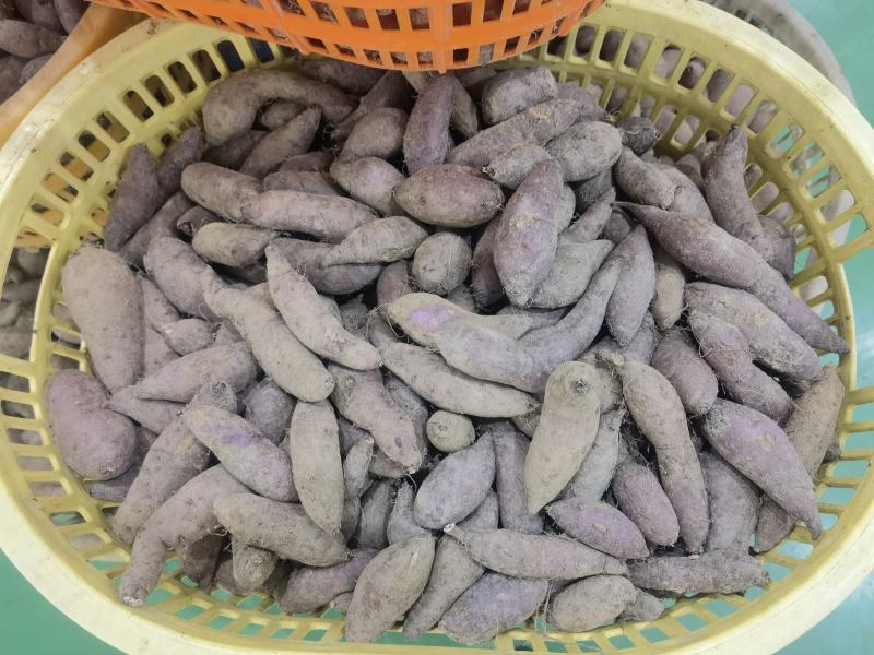 一田.冰淇淋番薯