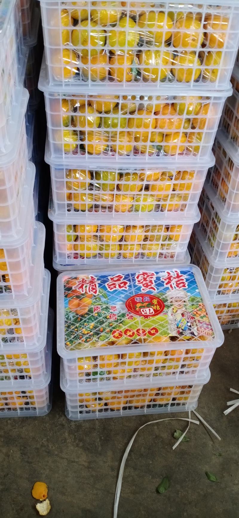 【实力】蜜桔南丰蜜橘大量上市，皮毛好品质保证，现采现发，
