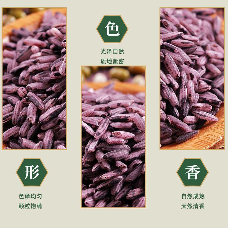 云南紫米紫色米青花素米包邮