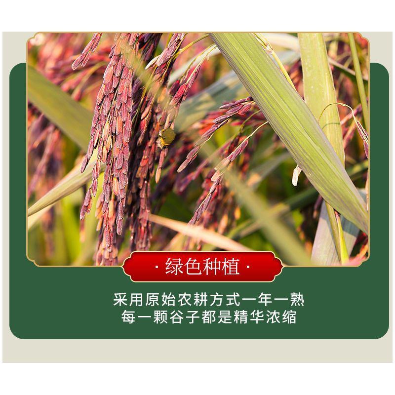 云南紫米紫色米青花素米包邮