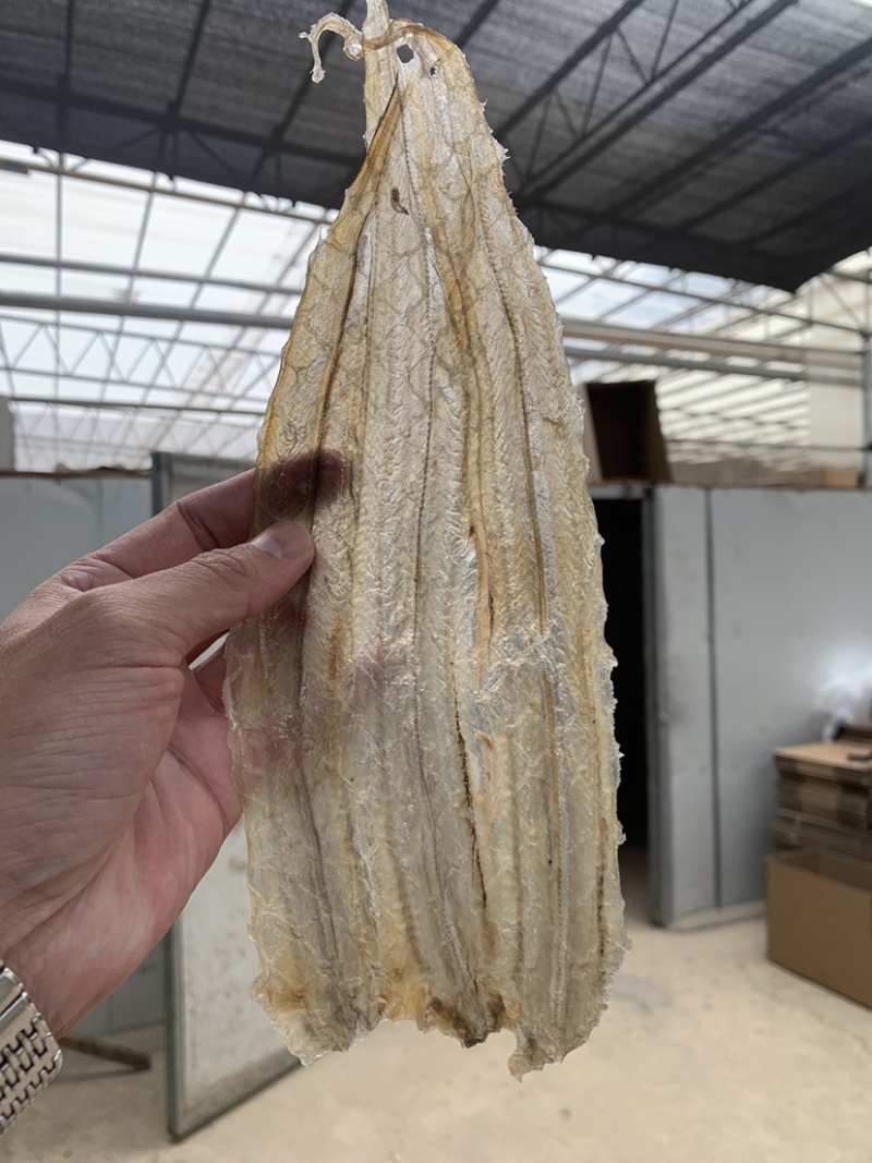 白鳗干（白鳝干）