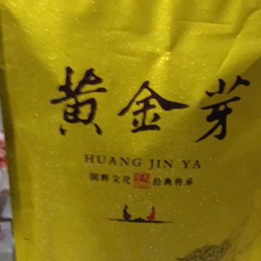 金黄芽绿茶