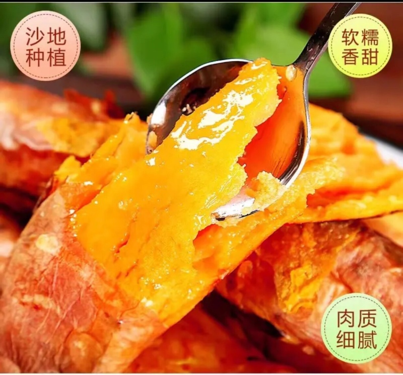 批发商超烟薯25地瓜红薯烟薯一件代发