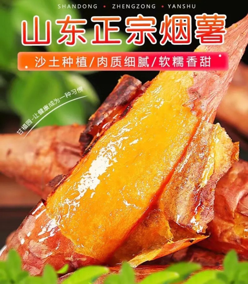 批发商超烟薯25地瓜红薯烟薯一件代发