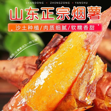 批发商超烟薯25地瓜红薯烟薯一件代发