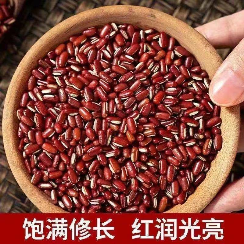 中药材赤小豆中药材赤小豆中药材赤小豆中药材赤小豆