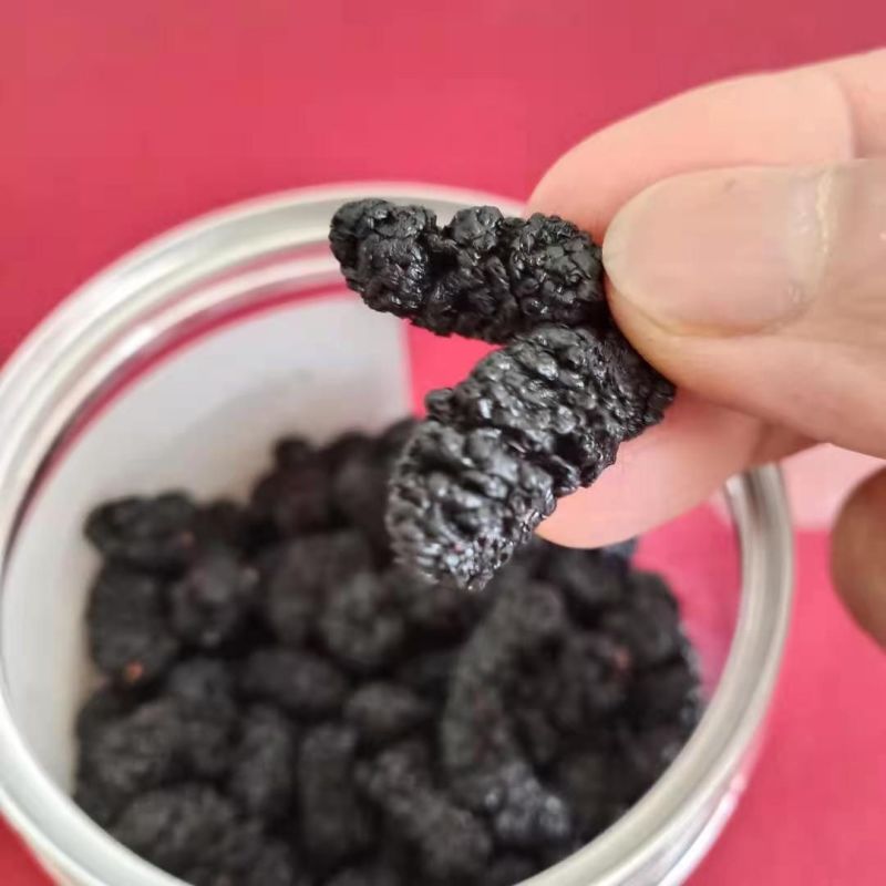 中药材桑椹中药材桑椹中药材桑椹中药材桑椹中药材桑椹