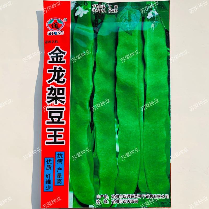金龙架豆王种子荚扁豆种嫩绿色高产抗病果荚无筋品质佳四季豆