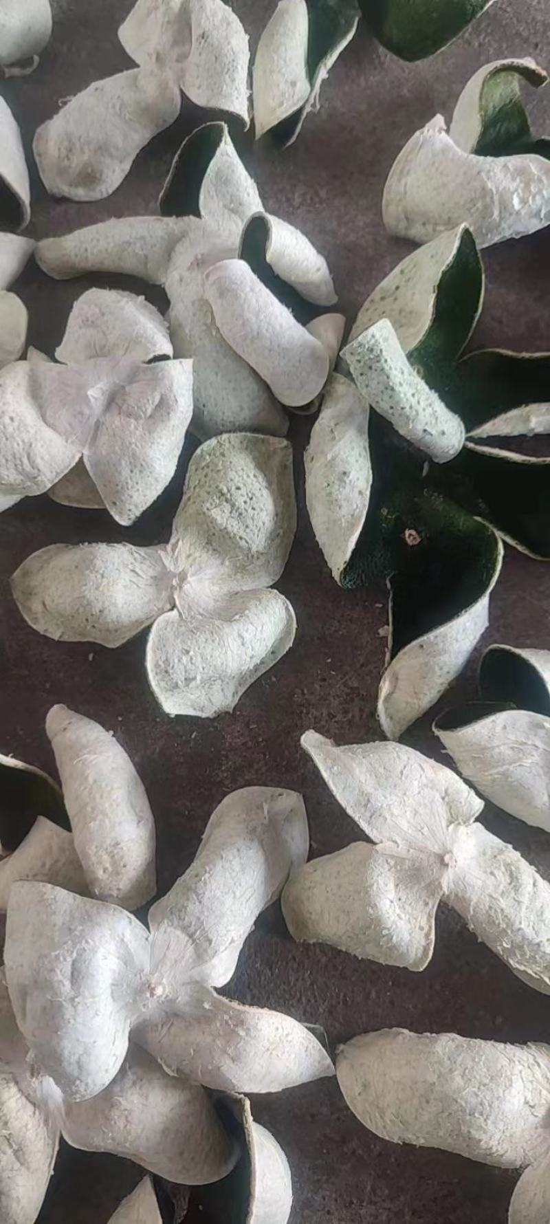 当年新货刀功好5A全青三花青皮柑茶柑皮