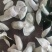 当年新货刀功好5A全青三花青皮柑茶柑皮