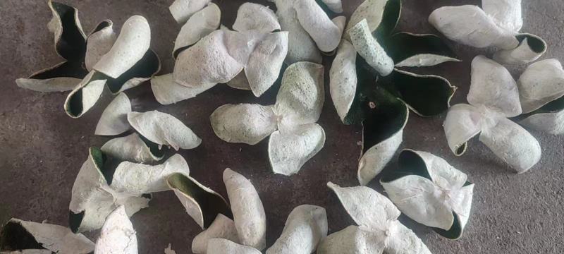 当年新货刀功好5A全青三花青皮柑茶柑皮