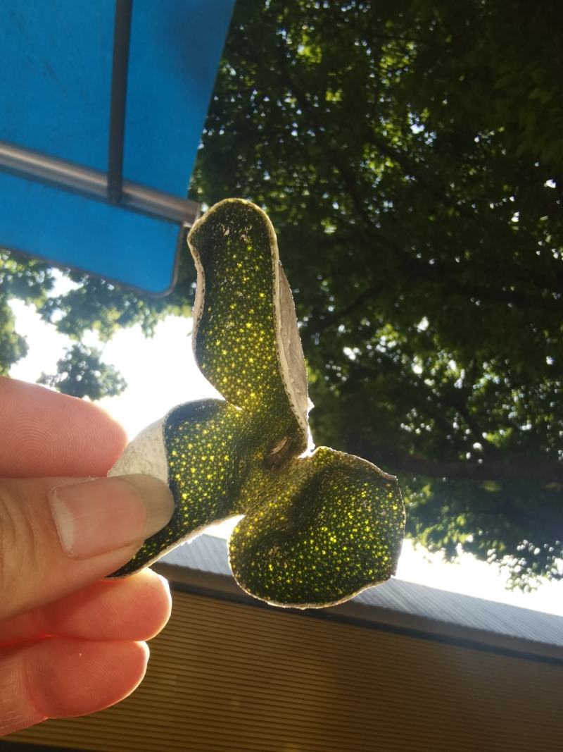 当年新货刀功好5A全青三花青皮柑茶柑皮