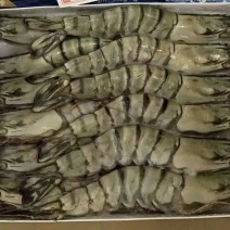 虾