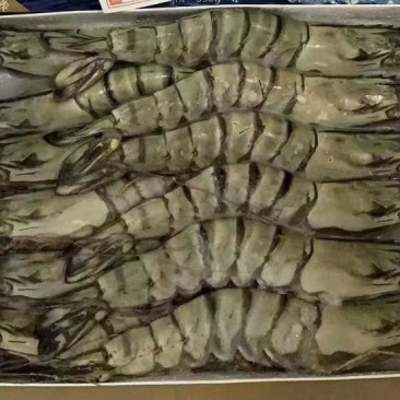 虾