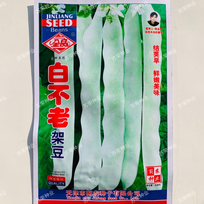 白不老架豆种子