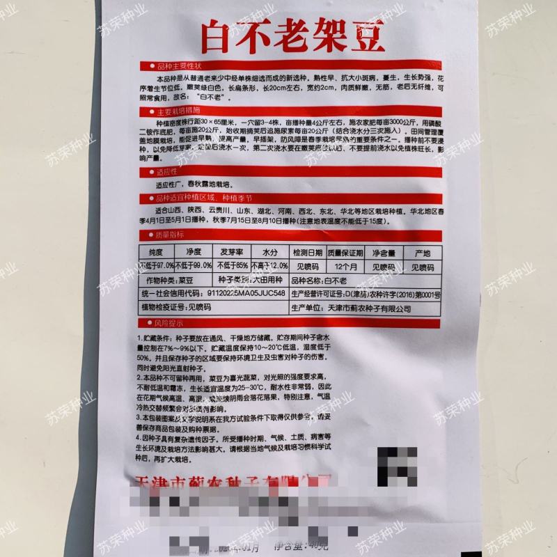 白不老架豆种子