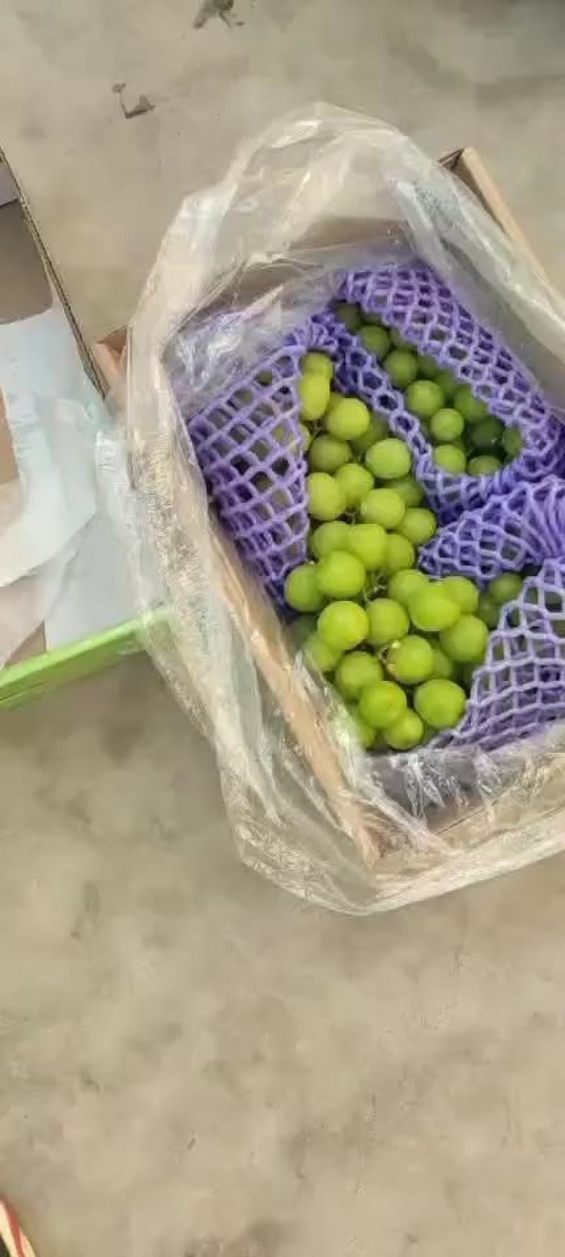 【阳光玫瑰礼盒装】大量供应，价格实惠产地直供品质保证