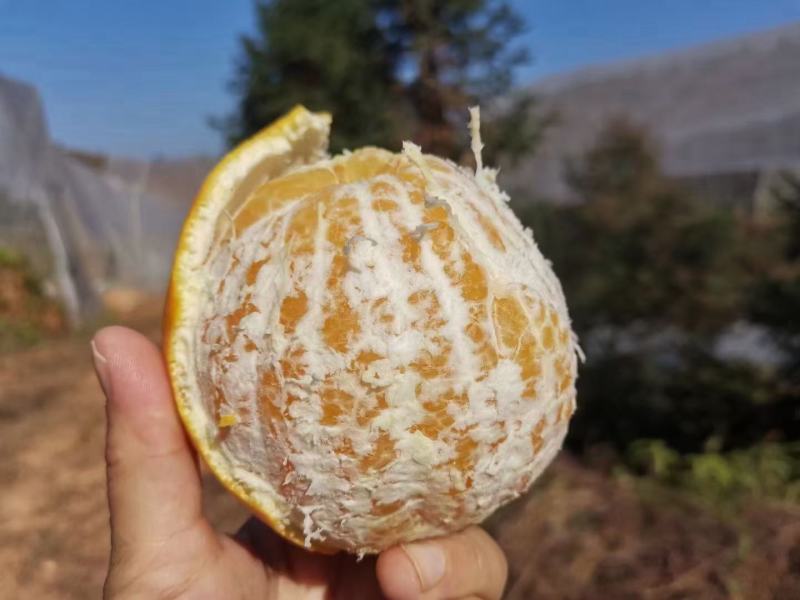 南脐橙新鲜赣州橙子产地直发特级当季水果