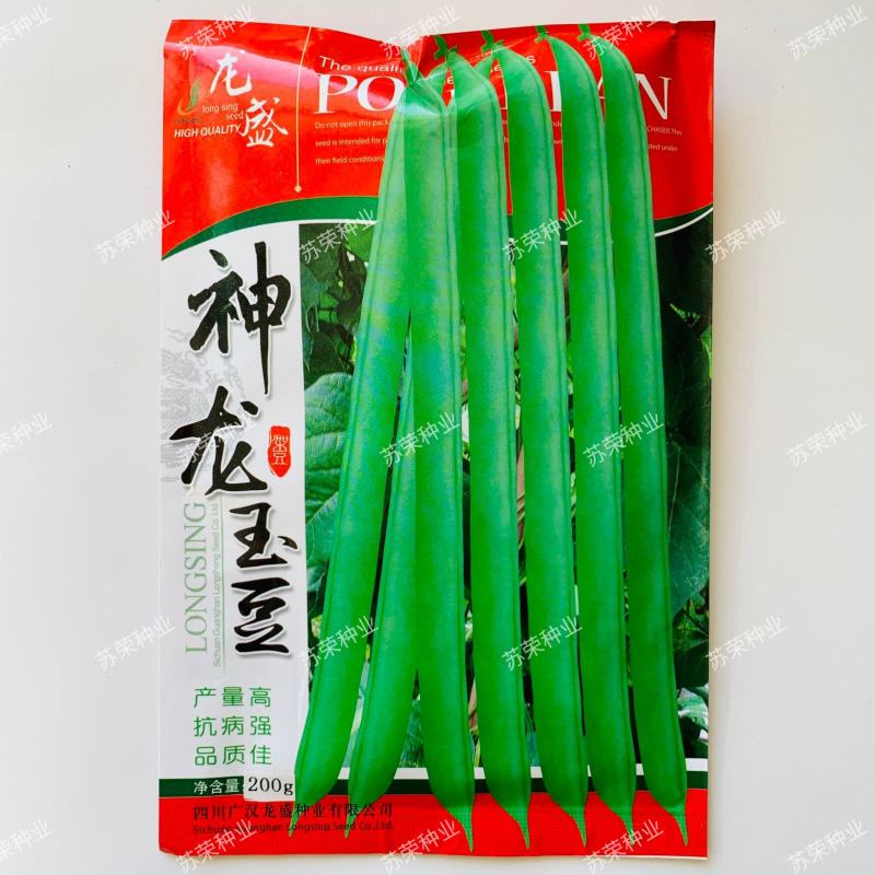 四季豆种子龙盛神龙玉豆四季豆中早熟高产抗病荚嫩肉厚小金豆