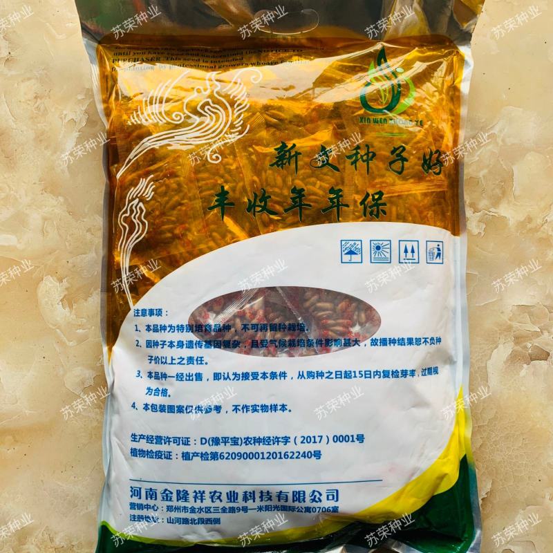 四季豆种籽