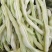 【老来少架豆王种子】四季播豆角九粒白芸豆种籽白芸豆籽蔬菜