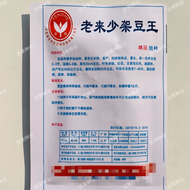【老来少架豆王种子】四季播豆角九粒白芸豆种籽白芸豆籽蔬菜