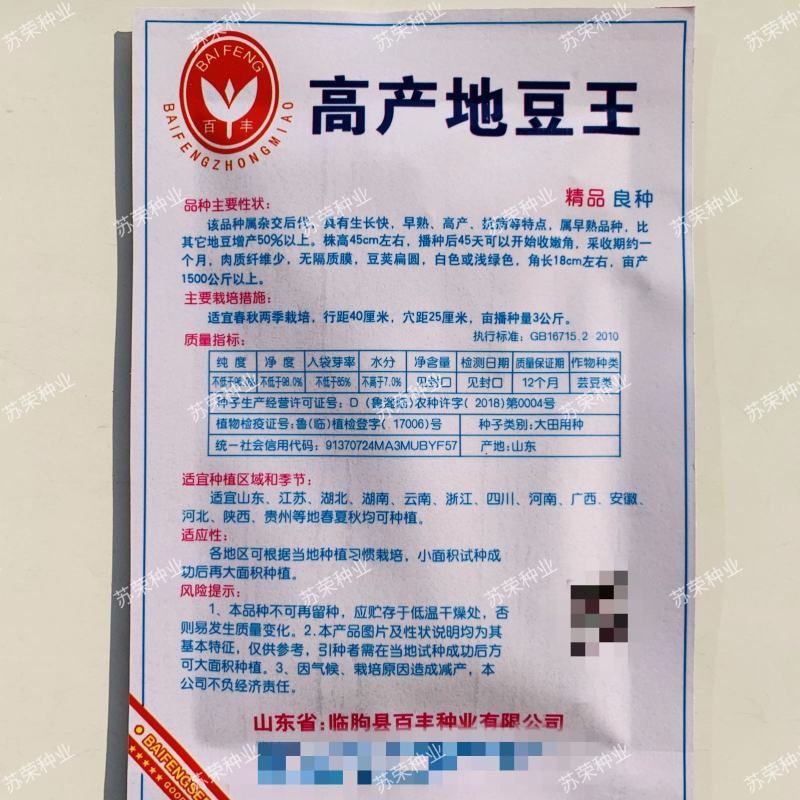 高产地豆王种子