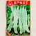 高产地豆王种子