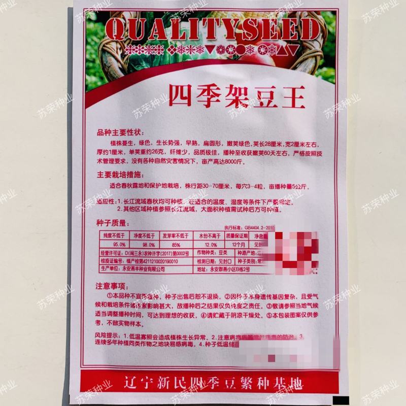 四季架豆王高产地豆王老来少架豆王早熟抗病长势强芸豆种籽