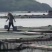 海鲈鱼精品订制开背三去真空包装工厂严格按食品安全标准加工