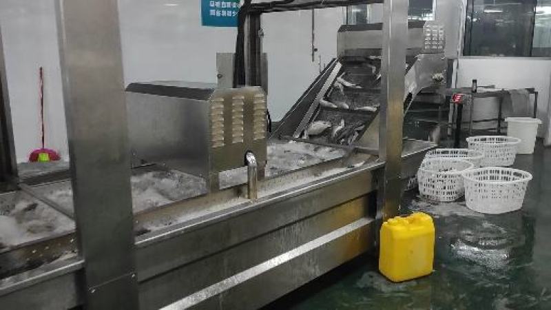 海鲈鱼精品订制开背三去真空包装工厂严格按食品安全标准加工