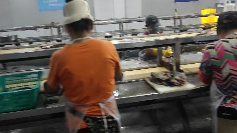 海鲈鱼精品订制开背三去真空包装工厂严格按食品安全标准加工
