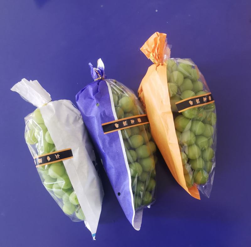 梯形纸加膜一体葡萄包装袋果蔬防雾保鲜袋鲜花包装袋