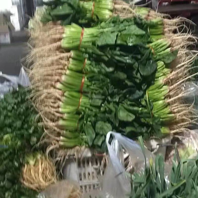 菠菜