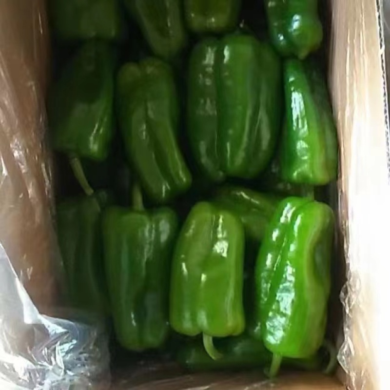 太空椒，量大，个头大，有亮度，有需要的可以联系我。