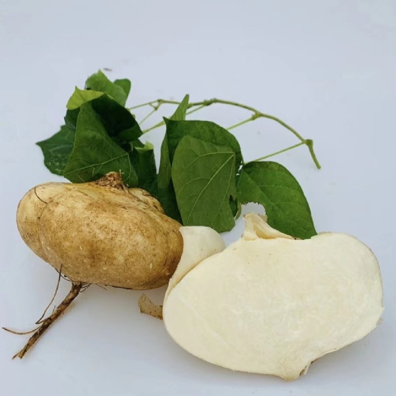湖北精品凉薯，地瓜，豆薯沙葛上市，价格美丽，欢迎采购