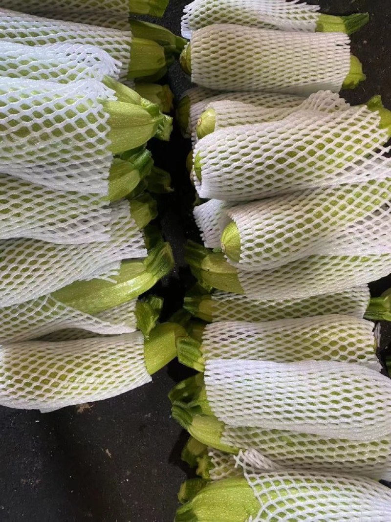 西葫芦，量大，亮条，个头大小均匀，有需要的可以联系我。
