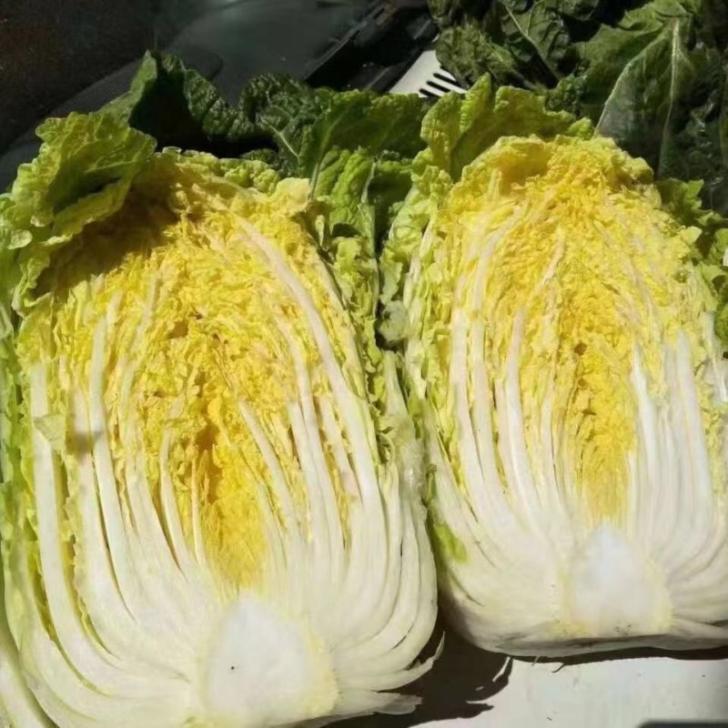 黄心大白菜，心黄，量大，单颗重4单6斤，有需要的可以联系