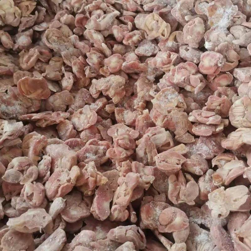817单冻带肚鸡胗发量有货