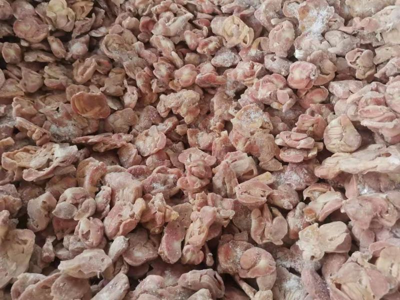 817单冻带肚鸡胗发量有货