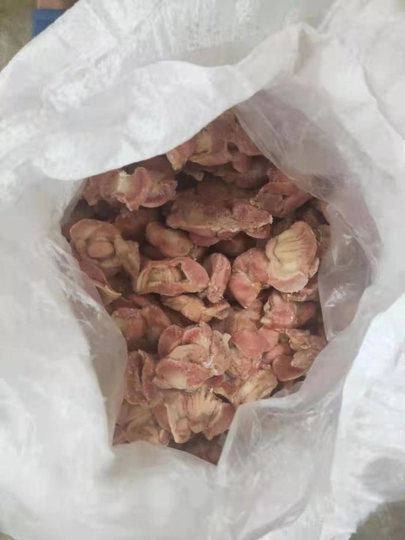 817单冻带肚鸡胗发量有货