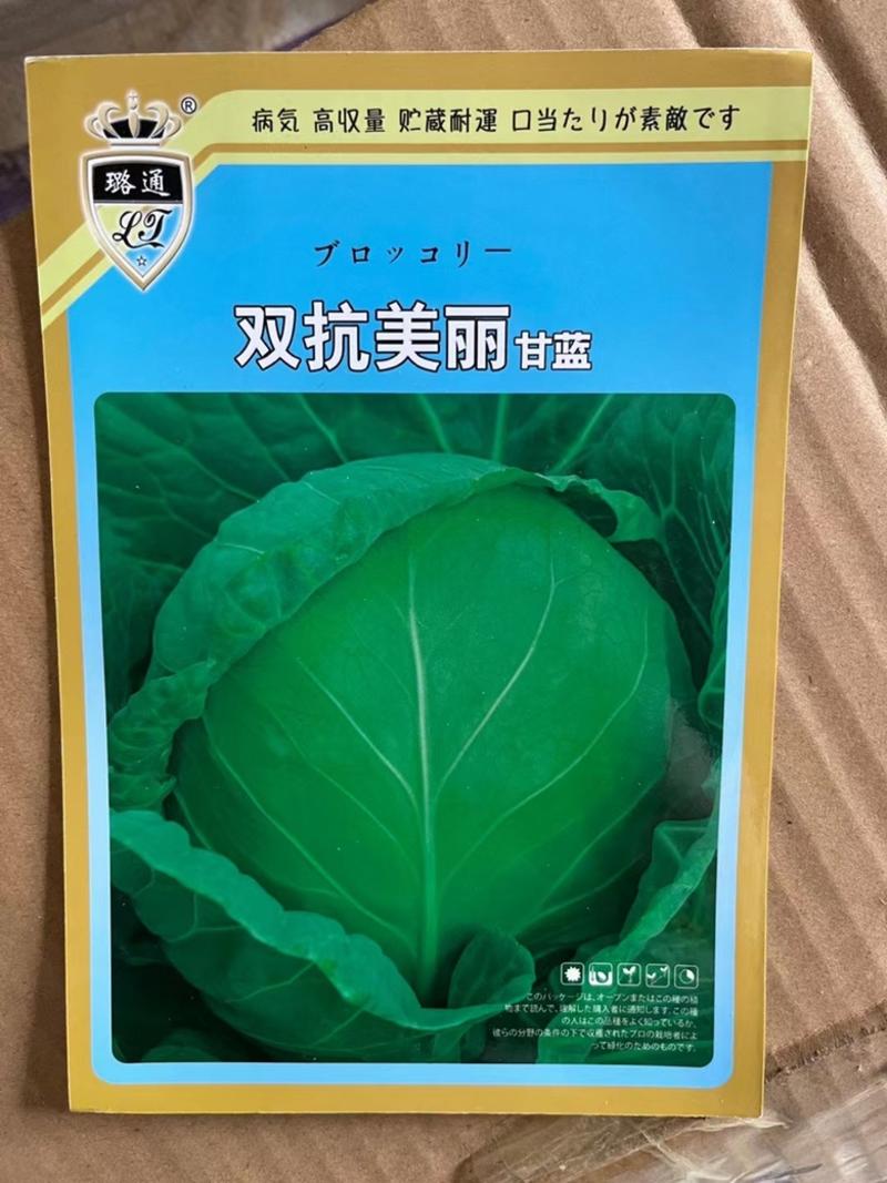 科优日本绿王甘蓝种子绿霸种子春秋品种颜色绿10克