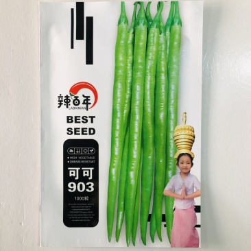 香辣线椒种子超辣杭椒籽粒粒精选高产长线椒蔬菜种子批发